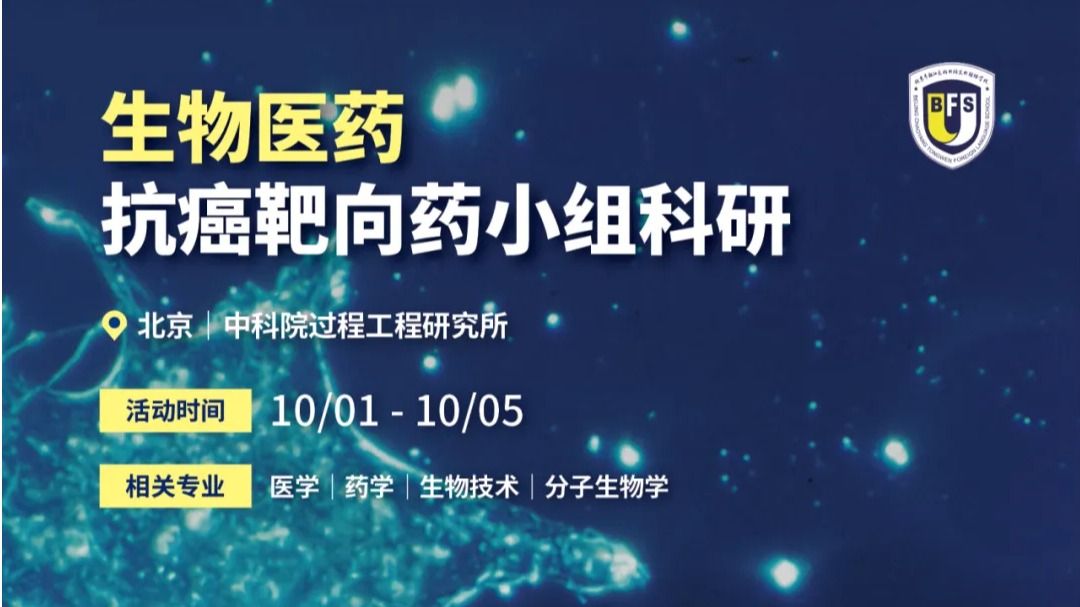 北外同文秋季升学项目发布｜以实践赋能，助力名校申请